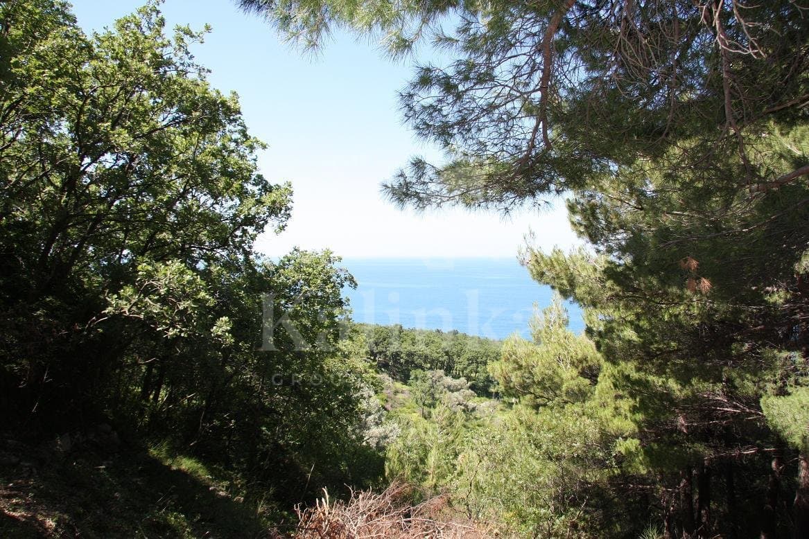 land-montenegro-65001